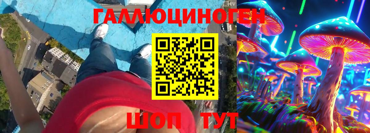 Галлюциногенные грибы Cubensis  Вход с VPN  Лабинск 