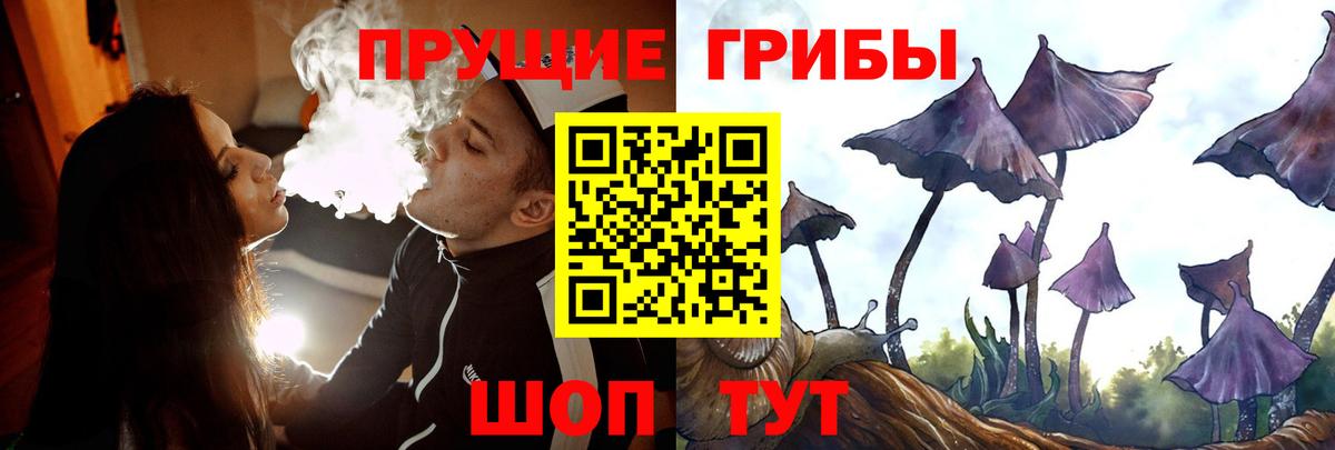 Псилоцибиновые грибы ЛСД Лабинск